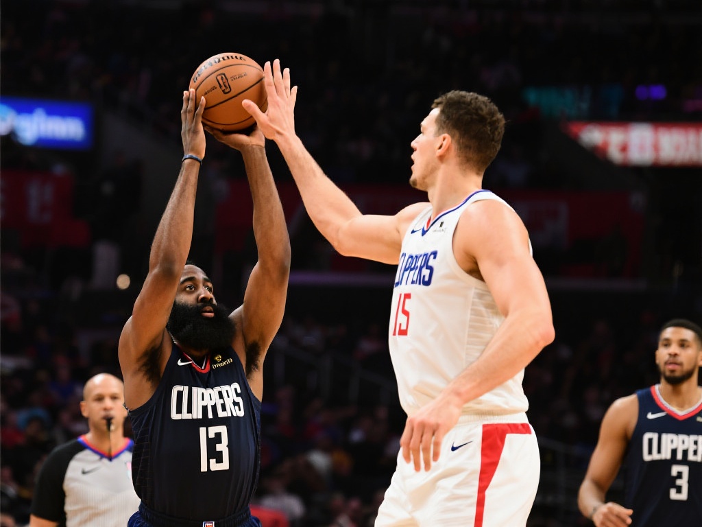 的球迷来说 的球迷来说